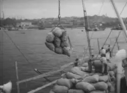 Medelhavet med Svenska Orient Linien