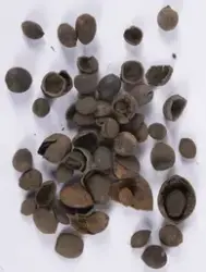 Arkeologisk undersökning