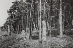 Västsvenska hembygdföreningens utflykt till Fjärås Bräcka 19