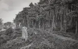 Västsvenska hembygdföreningens utflykt till Fjärås Bräcka 19