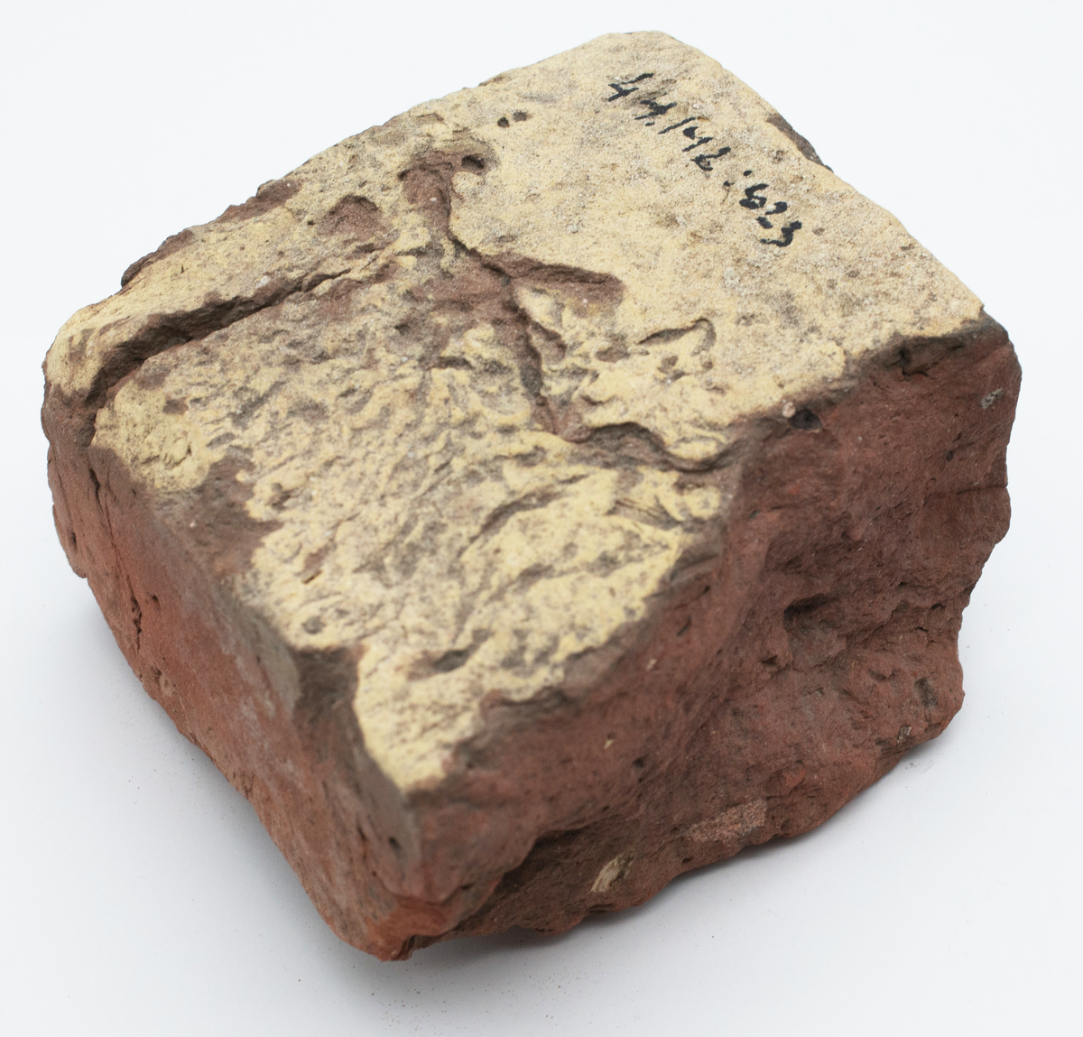 Det mycket omfattande fyndmaterialet domineras av keramik, främst yngre rödgods: grytor, karotter och fat. En del av detta är säkert producerat i Ny Varberg. En del yngre svartgods förekommer också, liksom kakel.

Importvaror från kontinenten är delar av rödgodset liksom vitgods, en hel del stengods och något fajans.

Vidare förekommer glas, både fönsterglas och dryckesglas, järnföremål av olika slag, förutom spik finns t ex lås, vidare mindre mängder brons, mässing och bly, varav några blyplomber.

Fynden har sorterats efter fyndomständighet och typ i följd VMF 50 000 - VMF 86 941, VMF 87 000 - VMF 87 032.

Därtill kommer diverse fyndnummer sten och ben som inte har VMF-nummer. Förmodligen är detta det samlade fyndmaterialets.

Merparten har lagts in i en databas av okänd typ, utskrifter från denna har kompletterats med en del uppgifter påskrivet för hand, liksom VMF-nummer, och finns i blankettform.

Sammanlagt omkring 3500 fyndposter finns att finna i  Primus av de drygt 37 000 posterna. Resten finns alltså endast dokumenterat på blanketter.

Själva sorteringen som helhet är av allt att döma bra gjord, det är bara det att arbetet tyvärr aldrig kunde fullföljas.

Oavsett infallsvinkel och frågeställngar så har fyndmaterialet tillsammans med dokumentationen god potential för vidare bearbetning och forskning.

Keramikfynd i Primus är VMF 50 000 - 52 296, enstaka poster > VMF 56 347, omkring 100 poster runt VMF 59 000, samt VMF 76 778 - 77 036.

Glas, läder, trä och metaller finns på VMF 86 000 - 86 941. Tegel har VMF  87 000 -  87 032.

Antalet fyndbackar är 443 st, varav keramik 362, glas 10, läder mm 6, trä 23, metall 15, tegel 13 samt sten 9 och ben 5 backar med olika fyndnummer men inte VMF-nummer. En del större träföremål som plank finns på pall.