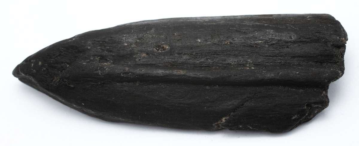 Arkeologisk förundersökning och slutundersökning. Totalt 5455 fyndposter. Vissa poster har gallrats i samband med flytten våren 2020, några har tidigare lämnats för konservering.

Förundersökningen har 48 poster, med flera föremål under samma nummer. Fynden består till övervägande del av keramik av olika typer, ben och järnföremål. Även tegel, slagg, glas, kakel, kritpipor och ett troligt bronsföremål hittades.

Slutundersökningen har 5407 poster.