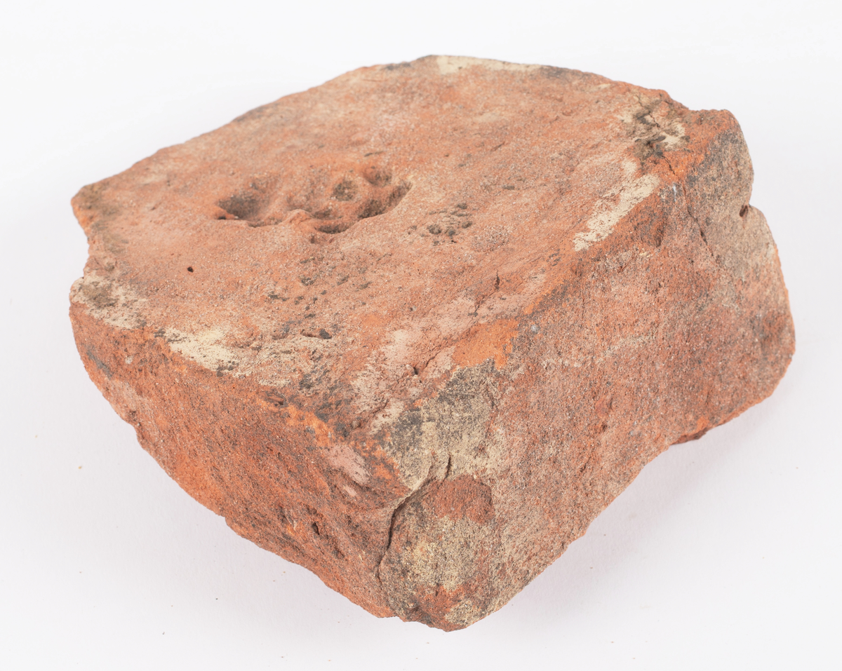 Det mycket omfattande fyndmaterialet domineras av keramik, främst yngre rödgods: grytor, karotter och fat. En del av detta är säkert producerat i Ny Varberg. En del yngre svartgods förekommer också, liksom kakel.

Importvaror från kontinenten är delar av rödgodset liksom vitgods, en hel del stengods och något fajans.

Vidare förekommer glas, både fönsterglas och dryckesglas, järnföremål av olika slag, förutom spik finns t ex lås, vidare mindre mängder brons, mässing och bly, varav några blyplomber.

Fynden har sorterats efter fyndomständighet och typ i följd VMF 50 000 - VMF 86 941, VMF 87 000 - VMF 87 032.

Därtill kommer diverse fyndnummer sten och ben som inte har VMF-nummer. Förmodligen är detta det samlade fyndmaterialets.

Merparten har lagts in i en databas av okänd typ, utskrifter från denna har kompletterats med en del uppgifter påskrivet för hand, liksom VMF-nummer, och finns i blankettform.

Sammanlagt omkring 3500 fyndposter finns att finna i  Primus av de drygt 37 000 posterna. Resten finns alltså endast dokumenterat på blanketter.

Själva sorteringen som helhet är av allt att döma bra gjord, det är bara det att arbetet tyvärr aldrig kunde fullföljas.

Oavsett infallsvinkel och frågeställngar så har fyndmaterialet tillsammans med dokumentationen god potential för vidare bearbetning och forskning.

Keramikfynd i Primus är VMF 50 000 - 52 296, enstaka poster > VMF 56 347, omkring 100 poster runt VMF 59 000, samt VMF 76 778 - 77 036.

Glas, läder, trä och metaller finns på VMF 86 000 - 86 941. Tegel har VMF  87 000 -  87 032.

Antalet fyndbackar är 443 st, varav keramik 362, glas 10, läder mm 6, trä 23, metall 15, tegel 13 samt sten 9 och ben 5 backar med olika fyndnummer men inte VMF-nummer. En del större träföremål som plank finns på pall.