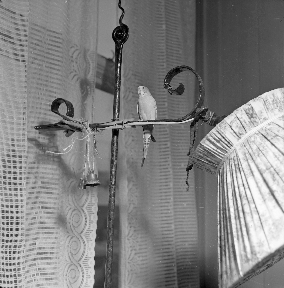 Marie og Martin Pedersen