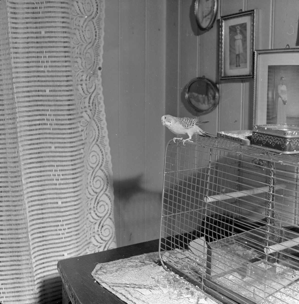 Marie og Martin Pedersen