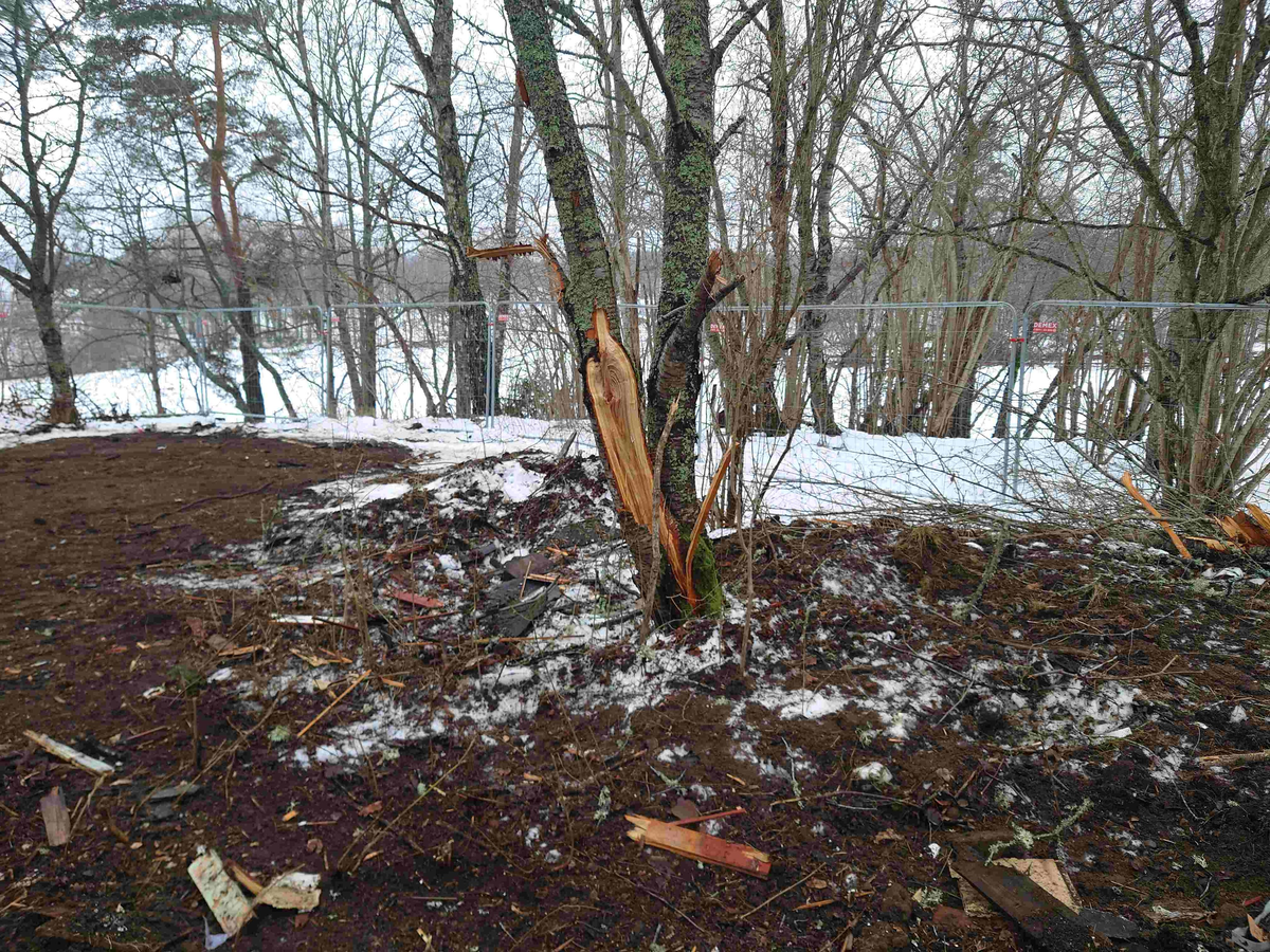 Resumé: 
Den förra ägaren av Älgbostad sålde gården 2009 till en flerbarnsfamilj som hade planer på att driva en hästgård. De hann äga fastigheten i 1 månad innan kommunen hävde köpet 2009 med stöd av argumenten att Älgbostad är: 

-Fast egendom som behövs för att tillgodose ett väsentligt behov av mark eller anläggning för idrott eller friluftsliv

-Fast egendom med byggnad som bör bevaras därför att den är värdefull från kulturhistorisk eller miljömässig synpunkt,
Samtliga partier skrev under på detta och menade att det fanns ett stort behov av att utöka det populära Hökmossbadet, värna allmänhetens tillträde till området, bevara den ”gröna kilen och göra en gång- och cykelväg till Jägarskogens naturreservat.
Denna omsorg om medborgarnas tillgång till rekreation, natur- och kulturupplevelser var totalt bortglömd när 2015 års markanvisningstävlan gick av stapeln.
Efter att ha fått strandskyddet om 300 meter, som gäller hela Yngern, ändrat till 100 meter just för Älgbostad överträffade de tävlande entreprenörerna varandra. De interna/hemliga exploateringsförslagen läckte ut och kom till allmänhetens kännedom. Inte bara Älgbostad skulle hårdexploateras, utan även angränsande kommunal mark.
2016 genomfördes en namninsamling som fick in totalt 954 namnunderskrifter som begärde en folkomröstning om byggplanerna. Kommunfullmäktige avslog namninsamlingen av formella skäl och beslutade att gå vidare med byggplanerna.
Under den korta samrådstiden över jul- nyårshelgen 2017/18 lämnade 193 Nykvarnsbor svaret nej till bostadsbyggande och ja till friluftsområde med utvidgat bad.
Moderaterna och Nykvarnspartiet var då de partier som var ivrigast för exploatering.  Centerpartiet, Miljöpartiet, Vänsterpartiet och Sverigedemokraterna var mot byggplanerna. Liberalerna och Socialdemokraterna valde därför att gå vidare med ett ”mindre” exploateringsförslag utmed Karlslundsvägen. De tre stora partierna Moderaterna, Nykvarnspartiet och Socialdemokraterna ställde tillsammans ut förslaget på granskning. 
Det blev inte mycket kvar av ”allmänhetens tillträde till området” med det presenterade detaljplaneförslaget. Därför startade föreningen Älgbostads vänner 2020 en ny namninsamling via listor och på nätet. Ett folkinitiativ för att samla de Nykvarnsbor som vill se kommunens ursprungliga planer för Älgbostad förverkligade. Så här löd parollen
Stoppa byggplanerna vid Hökmossbadet/Älgbostad – fullfölj det syfte som gav kommunen rätt till förköp – utveckla ett friluftsområde med utvidgat bad.
Inte heller den namninsamlingen lyckades påverka byggplanerna så Älgbostads vänner tillsammans med andra intressenter drev frågan vidare till Mark och Miljödomstolen och senare i Mark och Miljööverdomstolen och i december 2020 fick vi rätt med motiveringen att man inte får bygga på brukningsvärd jordbruksmark om det finns alternativ. 
Sedan 2009 har förvaltning och underhåll av fastigheten stått nästan helt still, med den förödande konsekvensen att husen förfallit mer och mer. Efter påtryckningar från Älgbostads vänner har vissa åtgärder genomförts på senare tid. Men alldeles för sent.
Nu i januari 2026 rivs alla hus enligt beslut i kommunstyrelsen, trots överklaganden och protester från folk, fridlysta fladdermöss och trots att man en gång slog fast att Älgbostad är en ”fast egendom med byggnad som bör bevaras därför att den är värdefull från kulturhistorisk eller miljömässig synpunkt”. 
När byggnaderna är rivna kommer fastigheterna inte längre att vara taxerade som bebyggda lantbruksfastigheter och Nykvarns kommun får möjligen lättare att uppnå sin tidigare målsättning att sälja marken och bygga bostäder.
Nykvarns kommun har sedan tidigare en historia av omfattande exploateringar av jordbruksmark och kulturhistoriska miljöer. Vidbynäs såldes billigt och bördig jord fraktades bort. Kvar blev en golfbana. Mörby, Nykvarns kulturhistoriska vagga med omfattande jordbruksmark, har ersatts av ett logistikcentrum.
I kommunens översiktsplan 2035 skriver man; Kommunens utgångspunkt är att brukningsbar jordbruksmark enbart får ianspråktas för ett väsentligt samhällsintresse som inte kan tillgodoses på annan plats. Kommunen har lagt till en definition av vad väsentligt samhällsintresse är. Att tillskapa nya bostäder i befintliga större sammanhängande områden, såsom tätorten Nykvarn, som har tillgång till VA-infrastruktur, väginfrastruktur, gång- och cykelinfrastruktur samt kollektivtrafik, bedömds vara ett väsentligt samhällsintresse. 
Föreningen Älgbostads vänner kommer därför att fortsätta bevaka den pågående utvecklingen, för att området verkligen ska bli det friluftsområde man ursprungligen argumenterade för. 
Föreningen vill att namnet Älgbostad bevaras och att gårdens historia presenteras i en informationsskylt. Älgbostad har varit boplats sedan forntiden och finns dokumenterad i kartor och handlingar sedan tidigt 1600-tal.

Texten har publicerats i  Länstidningen Södertälje i januari 2026 
