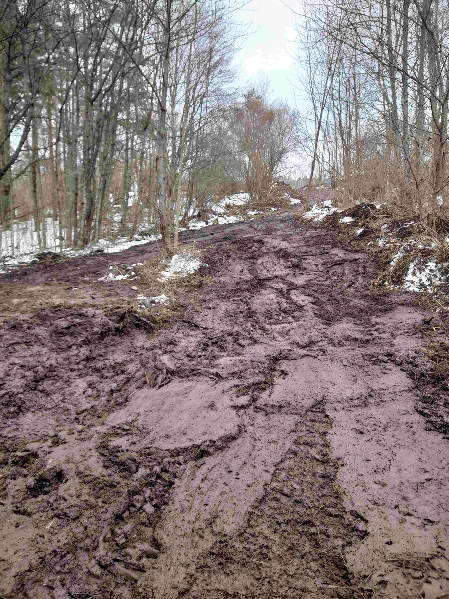 Resumé: 
Den förra ägaren av Älgbostad sålde gården 2009 till en flerbarnsfamilj som hade planer på att driva en hästgård. De hann äga fastigheten i 1 månad innan kommunen hävde köpet 2009 med stöd av argumenten att Älgbostad är: 

-Fast egendom som behövs för att tillgodose ett väsentligt behov av mark eller anläggning för idrott eller friluftsliv

-Fast egendom med byggnad som bör bevaras därför att den är värdefull från kulturhistorisk eller miljömässig synpunkt,
Samtliga partier skrev under på detta och menade att det fanns ett stort behov av att utöka det populära Hökmossbadet, värna allmänhetens tillträde till området, bevara den ”gröna kilen och göra en gång- och cykelväg till Jägarskogens naturreservat.
Denna omsorg om medborgarnas tillgång till rekreation, natur- och kulturupplevelser var totalt bortglömd när 2015 års markanvisningstävlan gick av stapeln.
Efter att ha fått strandskyddet om 300 meter, som gäller hela Yngern, ändrat till 100 meter just för Älgbostad överträffade de tävlande entreprenörerna varandra. De interna/hemliga exploateringsförslagen läckte ut och kom till allmänhetens kännedom. Inte bara Älgbostad skulle hårdexploateras, utan även angränsande kommunal mark.
2016 genomfördes en namninsamling som fick in totalt 954 namnunderskrifter som begärde en folkomröstning om byggplanerna. Kommunfullmäktige avslog namninsamlingen av formella skäl och beslutade att gå vidare med byggplanerna.
Under den korta samrådstiden över jul- nyårshelgen 2017/18 lämnade 193 Nykvarnsbor svaret nej till bostadsbyggande och ja till friluftsområde med utvidgat bad.
Moderaterna och Nykvarnspartiet var då de partier som var ivrigast för exploatering.  Centerpartiet, Miljöpartiet, Vänsterpartiet och Sverigedemokraterna var mot byggplanerna. Liberalerna och Socialdemokraterna valde därför att gå vidare med ett ”mindre” exploateringsförslag utmed Karlslundsvägen. De tre stora partierna Moderaterna, Nykvarnspartiet och Socialdemokraterna ställde tillsammans ut förslaget på granskning. 
Det blev inte mycket kvar av ”allmänhetens tillträde till området” med det presenterade detaljplaneförslaget. Därför startade föreningen Älgbostads vänner 2020 en ny namninsamling via listor och på nätet. Ett folkinitiativ för att samla de Nykvarnsbor som vill se kommunens ursprungliga planer för Älgbostad förverkligade. Så här löd parollen
Stoppa byggplanerna vid Hökmossbadet/Älgbostad – fullfölj det syfte som gav kommunen rätt till förköp – utveckla ett friluftsområde med utvidgat bad.
Inte heller den namninsamlingen lyckades påverka byggplanerna så Älgbostads vänner tillsammans med andra intressenter drev frågan vidare till Mark och Miljödomstolen och senare i Mark och Miljööverdomstolen och i december 2020 fick vi rätt med motiveringen att man inte får bygga på brukningsvärd jordbruksmark om det finns alternativ. 
Sedan 2009 har förvaltning och underhåll av fastigheten stått nästan helt still, med den förödande konsekvensen att husen förfallit mer och mer. Efter påtryckningar från Älgbostads vänner har vissa åtgärder genomförts på senare tid. Men alldeles för sent.
Nu i januari 2026 rivs alla hus enligt beslut i kommunstyrelsen, trots överklaganden och protester från folk, fridlysta fladdermöss och trots att man en gång slog fast att Älgbostad är en ”fast egendom med byggnad som bör bevaras därför att den är värdefull från kulturhistorisk eller miljömässig synpunkt”. 
När byggnaderna är rivna kommer fastigheterna inte längre att vara taxerade som bebyggda lantbruksfastigheter och Nykvarns kommun får möjligen lättare att uppnå sin tidigare målsättning att sälja marken och bygga bostäder.
Nykvarns kommun har sedan tidigare en historia av omfattande exploateringar av jordbruksmark och kulturhistoriska miljöer. Vidbynäs såldes billigt och bördig jord fraktades bort. Kvar blev en golfbana. Mörby, Nykvarns kulturhistoriska vagga med omfattande jordbruksmark, har ersatts av ett logistikcentrum.
I kommunens översiktsplan 2035 skriver man; Kommunens utgångspunkt är att brukningsbar jordbruksmark enbart får ianspråktas för ett väsentligt samhällsintresse som inte kan tillgodoses på annan plats. Kommunen har lagt till en definition av vad väsentligt samhällsintresse är. Att tillskapa nya bostäder i befintliga större sammanhängande områden, såsom tätorten Nykvarn, som har tillgång till VA-infrastruktur, väginfrastruktur, gång- och cykelinfrastruktur samt kollektivtrafik, bedömds vara ett väsentligt samhällsintresse. 
Föreningen Älgbostads vänner kommer därför att fortsätta bevaka den pågående utvecklingen, för att området verkligen ska bli det friluftsområde man ursprungligen argumenterade för. 
Föreningen vill att namnet Älgbostad bevaras och att gårdens historia presenteras i en informationsskylt. Älgbostad har varit boplats sedan forntiden och finns dokumenterad i kartor och handlingar sedan tidigt 1600-tal.

Texten har publicerats i  Länstidningen Södertälje i januari 2026 
