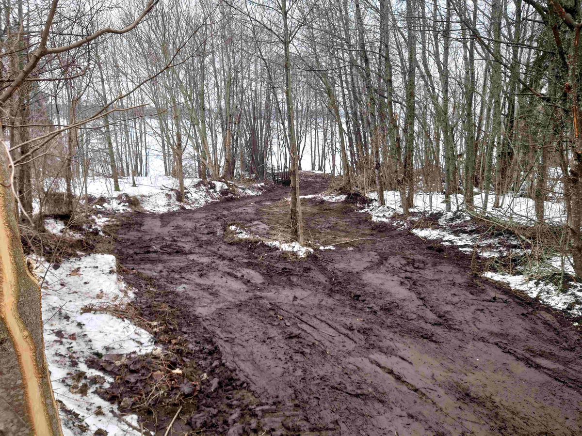 Resumé: 
Den förra ägaren av Älgbostad sålde gården 2009 till en flerbarnsfamilj som hade planer på att driva en hästgård. De hann äga fastigheten i 1 månad innan kommunen hävde köpet 2009 med stöd av argumenten att Älgbostad är: 

-Fast egendom som behövs för att tillgodose ett väsentligt behov av mark eller anläggning för idrott eller friluftsliv

-Fast egendom med byggnad som bör bevaras därför att den är värdefull från kulturhistorisk eller miljömässig synpunkt,
Samtliga partier skrev under på detta och menade att det fanns ett stort behov av att utöka det populära Hökmossbadet, värna allmänhetens tillträde till området, bevara den ”gröna kilen och göra en gång- och cykelväg till Jägarskogens naturreservat.
Denna omsorg om medborgarnas tillgång till rekreation, natur- och kulturupplevelser var totalt bortglömd när 2015 års markanvisningstävlan gick av stapeln.
Efter att ha fått strandskyddet om 300 meter, som gäller hela Yngern, ändrat till 100 meter just för Älgbostad överträffade de tävlande entreprenörerna varandra. De interna/hemliga exploateringsförslagen läckte ut och kom till allmänhetens kännedom. Inte bara Älgbostad skulle hårdexploateras, utan även angränsande kommunal mark.
2016 genomfördes en namninsamling som fick in totalt 954 namnunderskrifter som begärde en folkomröstning om byggplanerna. Kommunfullmäktige avslog namninsamlingen av formella skäl och beslutade att gå vidare med byggplanerna.
Under den korta samrådstiden över jul- nyårshelgen 2017/18 lämnade 193 Nykvarnsbor svaret nej till bostadsbyggande och ja till friluftsområde med utvidgat bad.
Moderaterna och Nykvarnspartiet var då de partier som var ivrigast för exploatering.  Centerpartiet, Miljöpartiet, Vänsterpartiet och Sverigedemokraterna var mot byggplanerna. Liberalerna och Socialdemokraterna valde därför att gå vidare med ett ”mindre” exploateringsförslag utmed Karlslundsvägen. De tre stora partierna Moderaterna, Nykvarnspartiet och Socialdemokraterna ställde tillsammans ut förslaget på granskning. 
Det blev inte mycket kvar av ”allmänhetens tillträde till området” med det presenterade detaljplaneförslaget. Därför startade föreningen Älgbostads vänner 2020 en ny namninsamling via listor och på nätet. Ett folkinitiativ för att samla de Nykvarnsbor som vill se kommunens ursprungliga planer för Älgbostad förverkligade. Så här löd parollen
Stoppa byggplanerna vid Hökmossbadet/Älgbostad – fullfölj det syfte som gav kommunen rätt till förköp – utveckla ett friluftsområde med utvidgat bad.
Inte heller den namninsamlingen lyckades påverka byggplanerna så Älgbostads vänner tillsammans med andra intressenter drev frågan vidare till Mark och Miljödomstolen och senare i Mark och Miljööverdomstolen och i december 2020 fick vi rätt med motiveringen att man inte får bygga på brukningsvärd jordbruksmark om det finns alternativ. 
Sedan 2009 har förvaltning och underhåll av fastigheten stått nästan helt still, med den förödande konsekvensen att husen förfallit mer och mer. Efter påtryckningar från Älgbostads vänner har vissa åtgärder genomförts på senare tid. Men alldeles för sent.
Nu i januari 2026 rivs alla hus enligt beslut i kommunstyrelsen, trots överklaganden och protester från folk, fridlysta fladdermöss och trots att man en gång slog fast att Älgbostad är en ”fast egendom med byggnad som bör bevaras därför att den är värdefull från kulturhistorisk eller miljömässig synpunkt”. 
När byggnaderna är rivna kommer fastigheterna inte längre att vara taxerade som bebyggda lantbruksfastigheter och Nykvarns kommun får möjligen lättare att uppnå sin tidigare målsättning att sälja marken och bygga bostäder.
Nykvarns kommun har sedan tidigare en historia av omfattande exploateringar av jordbruksmark och kulturhistoriska miljöer. Vidbynäs såldes billigt och bördig jord fraktades bort. Kvar blev en golfbana. Mörby, Nykvarns kulturhistoriska vagga med omfattande jordbruksmark, har ersatts av ett logistikcentrum.
I kommunens översiktsplan 2035 skriver man; Kommunens utgångspunkt är att brukningsbar jordbruksmark enbart får ianspråktas för ett väsentligt samhällsintresse som inte kan tillgodoses på annan plats. Kommunen har lagt till en definition av vad väsentligt samhällsintresse är. Att tillskapa nya bostäder i befintliga större sammanhängande områden, såsom tätorten Nykvarn, som har tillgång till VA-infrastruktur, väginfrastruktur, gång- och cykelinfrastruktur samt kollektivtrafik, bedömds vara ett väsentligt samhällsintresse. 
Föreningen Älgbostads vänner kommer därför att fortsätta bevaka den pågående utvecklingen, för att området verkligen ska bli det friluftsområde man ursprungligen argumenterade för. 
Föreningen vill att namnet Älgbostad bevaras och att gårdens historia presenteras i en informationsskylt. Älgbostad har varit boplats sedan forntiden och finns dokumenterad i kartor och handlingar sedan tidigt 1600-tal.

Texten har publicerats i  Länstidningen Södertälje i januari 2026 
