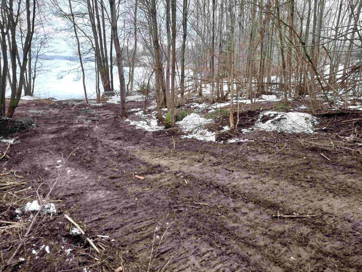 Resumé: 
Den förra ägaren av Älgbostad sålde gården 2009 till en flerbarnsfamilj som hade planer på att driva en hästgård. De hann äga fastigheten i 1 månad innan kommunen hävde köpet 2009 med stöd av argumenten att Älgbostad är: 

-Fast egendom som behövs för att tillgodose ett väsentligt behov av mark eller anläggning för idrott eller friluftsliv

-Fast egendom med byggnad som bör bevaras därför att den är värdefull från kulturhistorisk eller miljömässig synpunkt,
Samtliga partier skrev under på detta och menade att det fanns ett stort behov av att utöka det populära Hökmossbadet, värna allmänhetens tillträde till området, bevara den ”gröna kilen och göra en gång- och cykelväg till Jägarskogens naturreservat.
Denna omsorg om medborgarnas tillgång till rekreation, natur- och kulturupplevelser var totalt bortglömd när 2015 års markanvisningstävlan gick av stapeln.
Efter att ha fått strandskyddet om 300 meter, som gäller hela Yngern, ändrat till 100 meter just för Älgbostad överträffade de tävlande entreprenörerna varandra. De interna/hemliga exploateringsförslagen läckte ut och kom till allmänhetens kännedom. Inte bara Älgbostad skulle hårdexploateras, utan även angränsande kommunal mark.
2016 genomfördes en namninsamling som fick in totalt 954 namnunderskrifter som begärde en folkomröstning om byggplanerna. Kommunfullmäktige avslog namninsamlingen av formella skäl och beslutade att gå vidare med byggplanerna.
Under den korta samrådstiden över jul- nyårshelgen 2017/18 lämnade 193 Nykvarnsbor svaret nej till bostadsbyggande och ja till friluftsområde med utvidgat bad.
Moderaterna och Nykvarnspartiet var då de partier som var ivrigast för exploatering.  Centerpartiet, Miljöpartiet, Vänsterpartiet och Sverigedemokraterna var mot byggplanerna. Liberalerna och Socialdemokraterna valde därför att gå vidare med ett ”mindre” exploateringsförslag utmed Karlslundsvägen. De tre stora partierna Moderaterna, Nykvarnspartiet och Socialdemokraterna ställde tillsammans ut förslaget på granskning. 
Det blev inte mycket kvar av ”allmänhetens tillträde till området” med det presenterade detaljplaneförslaget. Därför startade föreningen Älgbostads vänner 2020 en ny namninsamling via listor och på nätet. Ett folkinitiativ för att samla de Nykvarnsbor som vill se kommunens ursprungliga planer för Älgbostad förverkligade. Så här löd parollen
Stoppa byggplanerna vid Hökmossbadet/Älgbostad – fullfölj det syfte som gav kommunen rätt till förköp – utveckla ett friluftsområde med utvidgat bad.
Inte heller den namninsamlingen lyckades påverka byggplanerna så Älgbostads vänner tillsammans med andra intressenter drev frågan vidare till Mark och Miljödomstolen och senare i Mark och Miljööverdomstolen och i december 2020 fick vi rätt med motiveringen att man inte får bygga på brukningsvärd jordbruksmark om det finns alternativ. 
Sedan 2009 har förvaltning och underhåll av fastigheten stått nästan helt still, med den förödande konsekvensen att husen förfallit mer och mer. Efter påtryckningar från Älgbostads vänner har vissa åtgärder genomförts på senare tid. Men alldeles för sent.
Nu i januari 2026 rivs alla hus enligt beslut i kommunstyrelsen, trots överklaganden och protester från folk, fridlysta fladdermöss och trots att man en gång slog fast att Älgbostad är en ”fast egendom med byggnad som bör bevaras därför att den är värdefull från kulturhistorisk eller miljömässig synpunkt”. 
När byggnaderna är rivna kommer fastigheterna inte längre att vara taxerade som bebyggda lantbruksfastigheter och Nykvarns kommun får möjligen lättare att uppnå sin tidigare målsättning att sälja marken och bygga bostäder.
Nykvarns kommun har sedan tidigare en historia av omfattande exploateringar av jordbruksmark och kulturhistoriska miljöer. Vidbynäs såldes billigt och bördig jord fraktades bort. Kvar blev en golfbana. Mörby, Nykvarns kulturhistoriska vagga med omfattande jordbruksmark, har ersatts av ett logistikcentrum.
I kommunens översiktsplan 2035 skriver man; Kommunens utgångspunkt är att brukningsbar jordbruksmark enbart får ianspråktas för ett väsentligt samhällsintresse som inte kan tillgodoses på annan plats. Kommunen har lagt till en definition av vad väsentligt samhällsintresse är. Att tillskapa nya bostäder i befintliga större sammanhängande områden, såsom tätorten Nykvarn, som har tillgång till VA-infrastruktur, väginfrastruktur, gång- och cykelinfrastruktur samt kollektivtrafik, bedömds vara ett väsentligt samhällsintresse. 
Föreningen Älgbostads vänner kommer därför att fortsätta bevaka den pågående utvecklingen, för att området verkligen ska bli det friluftsområde man ursprungligen argumenterade för. 
Föreningen vill att namnet Älgbostad bevaras och att gårdens historia presenteras i en informationsskylt. Älgbostad har varit boplats sedan forntiden och finns dokumenterad i kartor och handlingar sedan tidigt 1600-tal.

Texten har publicerats i  Länstidningen Södertälje i januari 2026 
