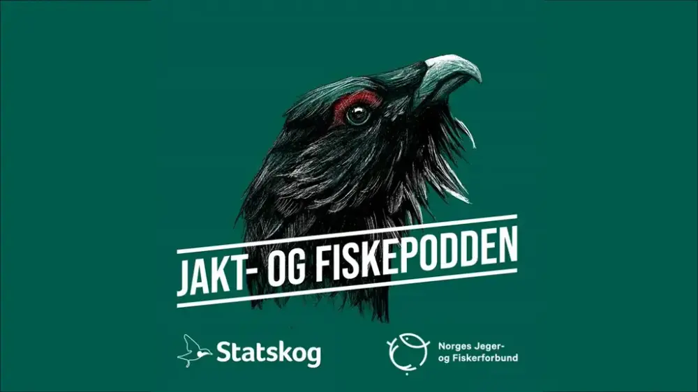 Logo jakt- og fiskpodden. Hodet av en tiur, med grønn bakrgrunn. Nederst er logoen til Statskog og Norges jeger og fiskerforbund. 
