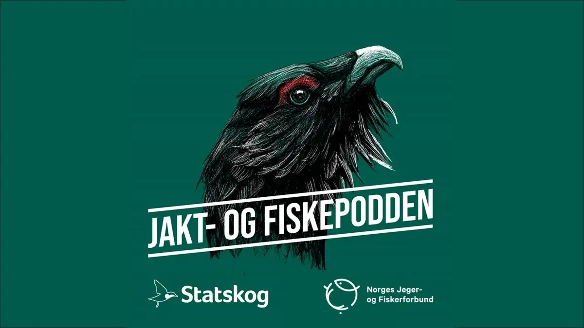 Logo jakt- og fiskpodden. Hodet av en tiur, med grønn bakrgrunn. Nederst er logoen til Statskog og Norges jeger og fiskerforbund. 