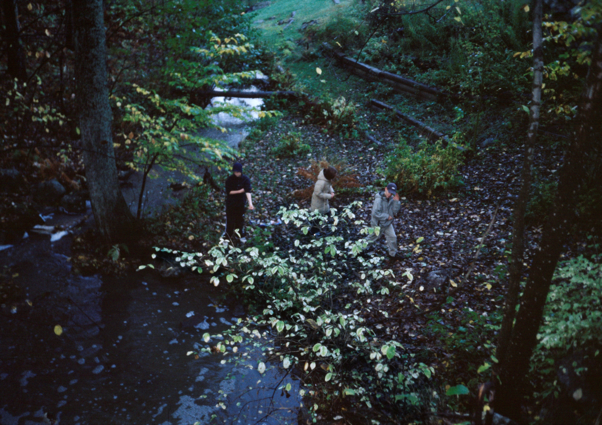Foto / text: Mikaela Alderhorn 
Falkbergsskolan; 7 blå; HT 2000 

Den här bilden visar en bäck nära Tullinge kyrka. Människorna på bilden heter Olle; Markus och Jolanda.