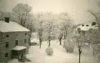 En snöig vinterbild med flera byggnader och snötäckta träd, troligen någonstans i Gävle. Text baksida kort: 