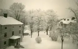 En snöig vinterbild med flera byggnader och snötäckta träd, 