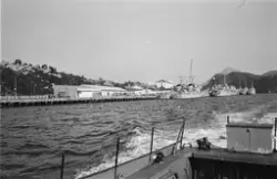 "Åsmunds første film med Ricoh, mars-april 1971".Bildet vise