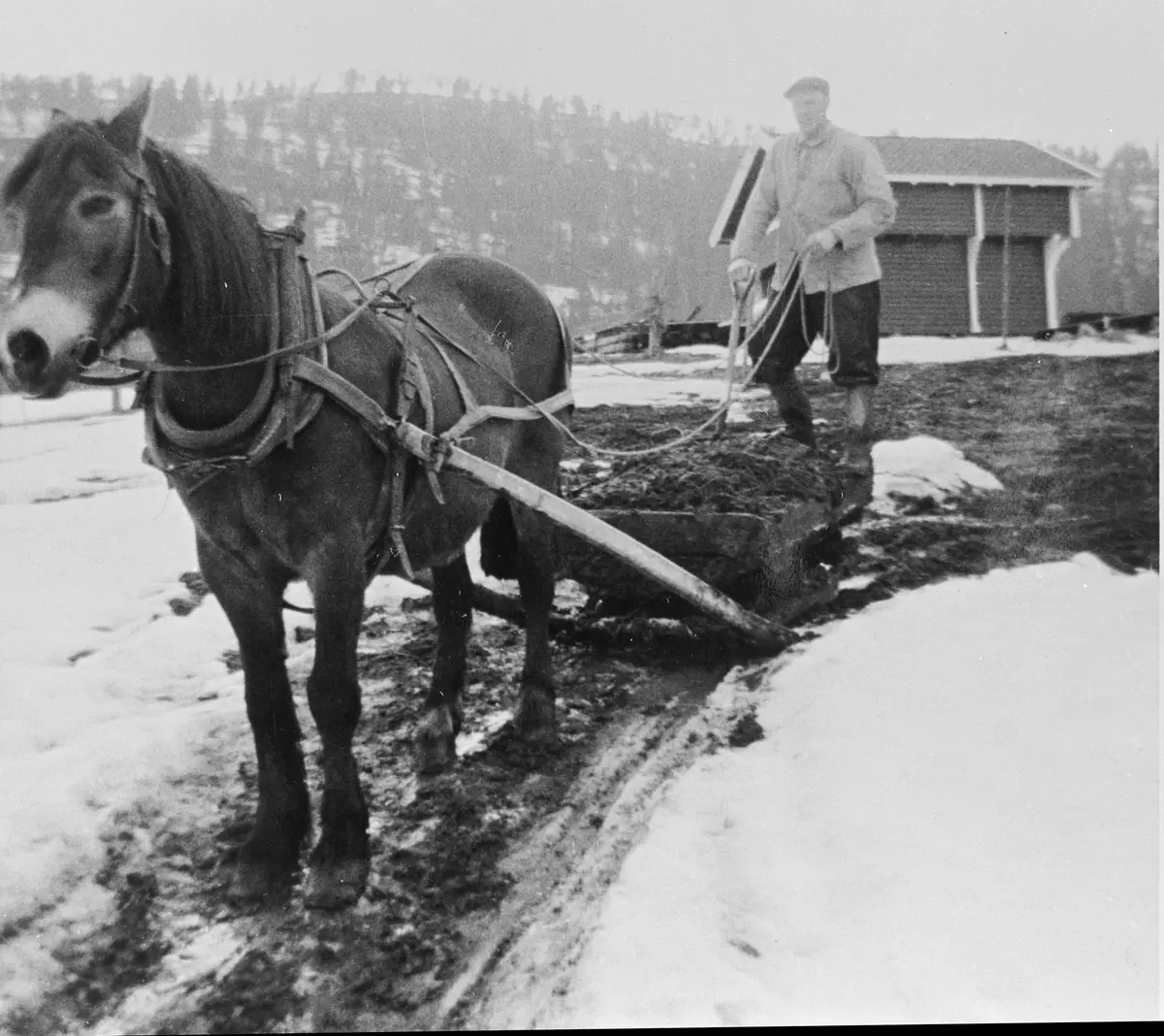 En mann med dress, fotografert utendørs foran en skigard. Ukjent person, tid og sted.

Sigdal Museum mangler informasjon om dette fotografiet. Kontakt oss gjerne dersom du har opplysninger om motivet.