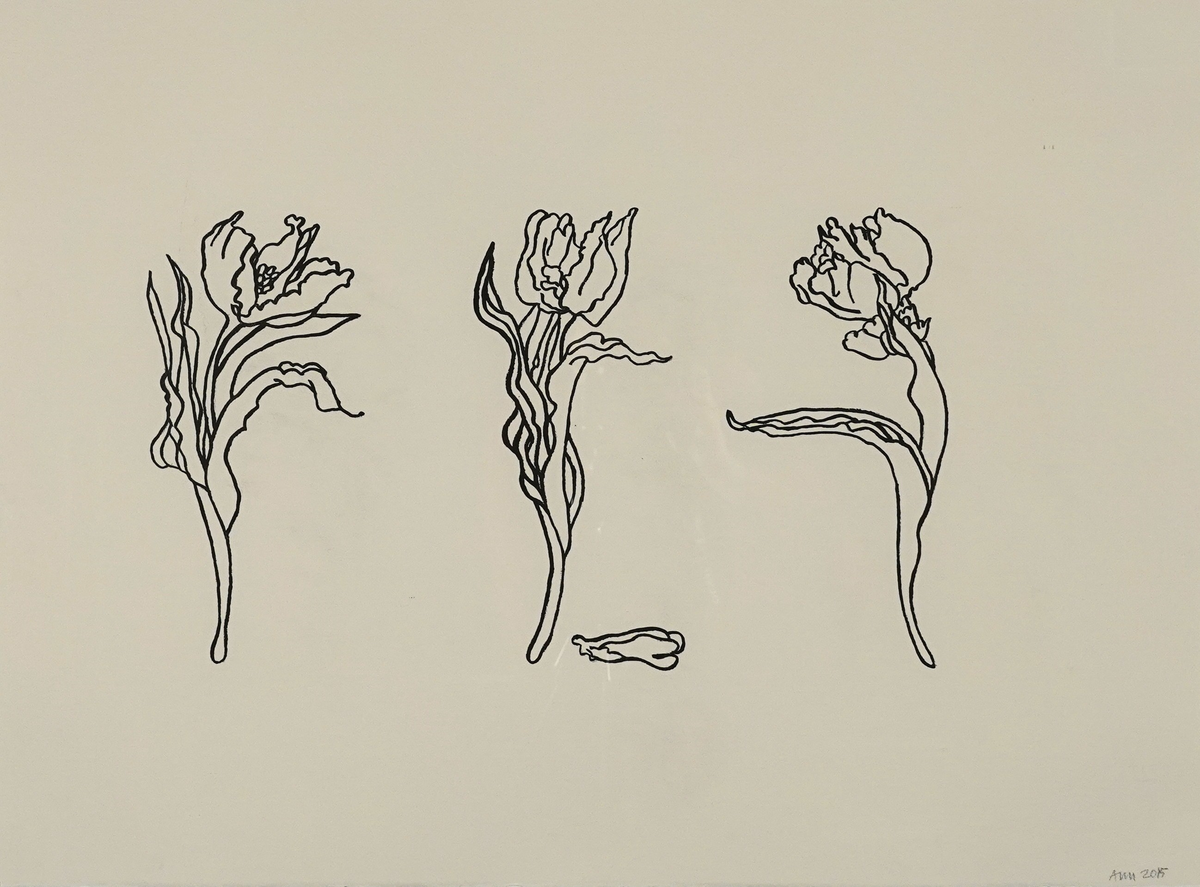 Tre tecknade tulpaner mot vit bakgrund.