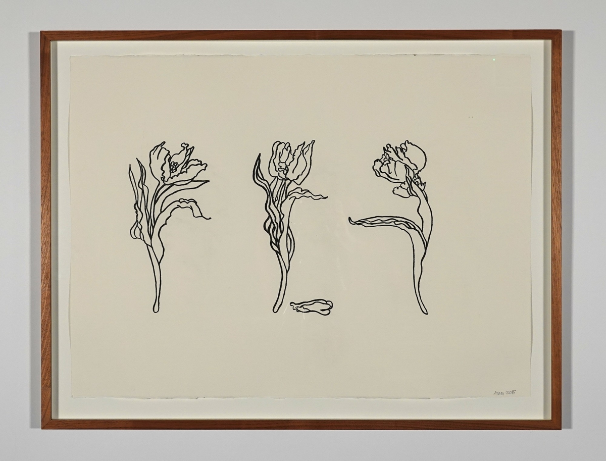 Tre tecknade tulpaner mot vit bakgrund.