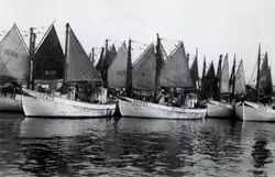 a) " Fiskhamnen 656 " Fiskebåtar med segel 

b) " Kusten 667