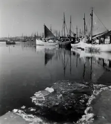 a) " 1551 " Fiskebåtar vid Fiskhamnskajen 

b) " 1440 " Två 