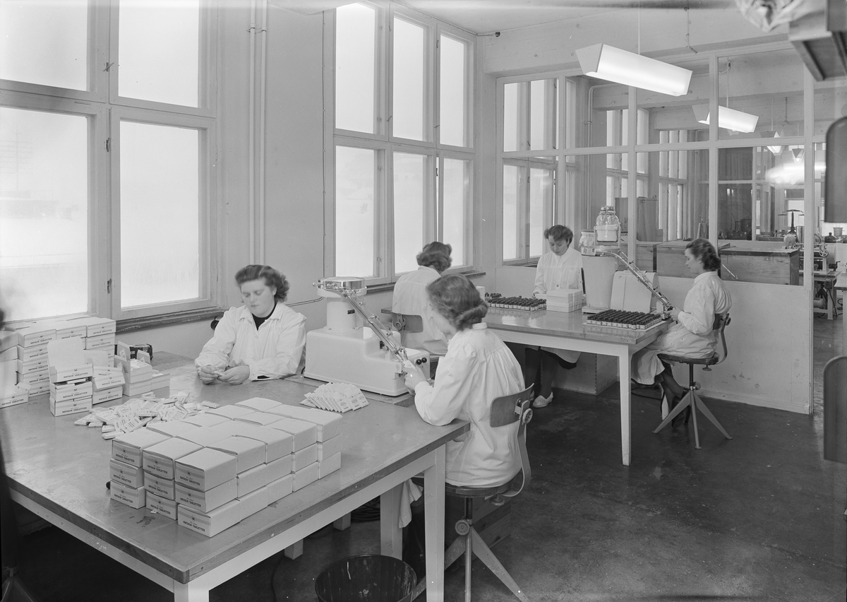 Interiør til Meson fabrikker