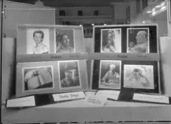 Britisk fotoutstilling "Dette er et fotografi" hos Fotograf 