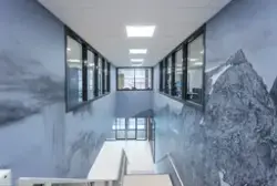 Oddasitoahppat / Lære på ny / Relearn - Drawn from Nature [V