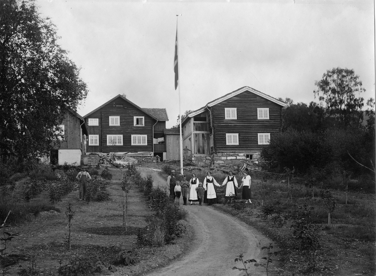 Hus, bunad, flagg, hage,