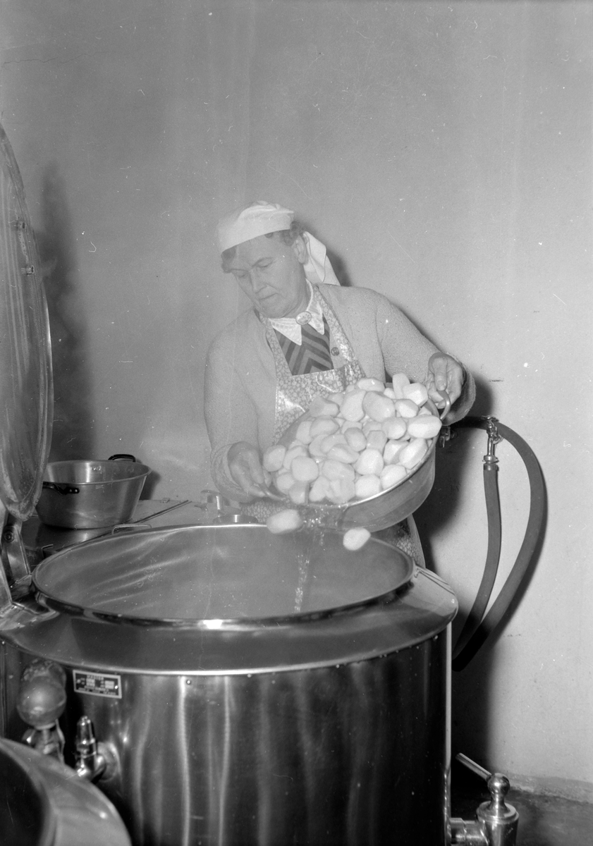 Guttelandsrenn, ski, 1955