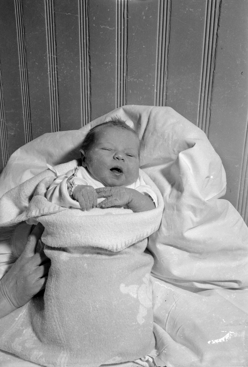 Anita Tangstad - skuddårsbarn på E.C. Dahls stiftelse