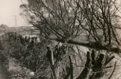 Fotografi taget av Torsten Nilsson som var anställd hos Grén