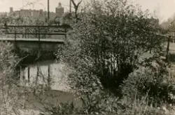 Fotografi taget av Torsten Nilsson som var anställd hos Grén