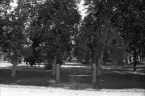 Bolstads prästgård