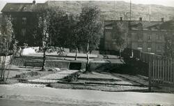 Park mellom Kongens og Dronningens gate. Blomsterbed og trær