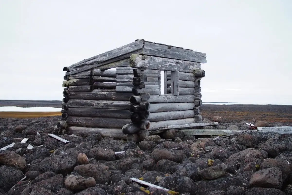 Forfallen tømmerhytte uten tak på Svalbard