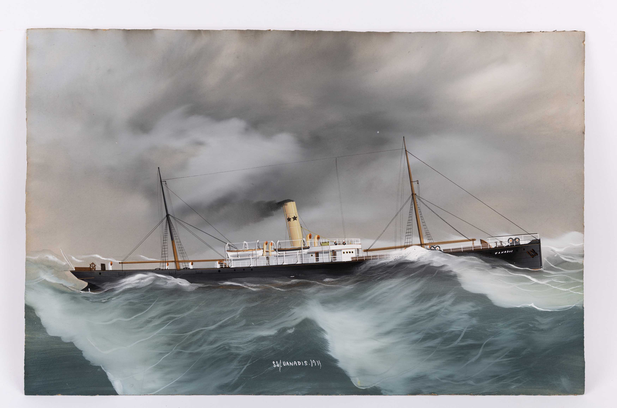 Skipsportrett av DS VANADIS under fart i høy sjø. Fører ingen vimpler eller flagg.