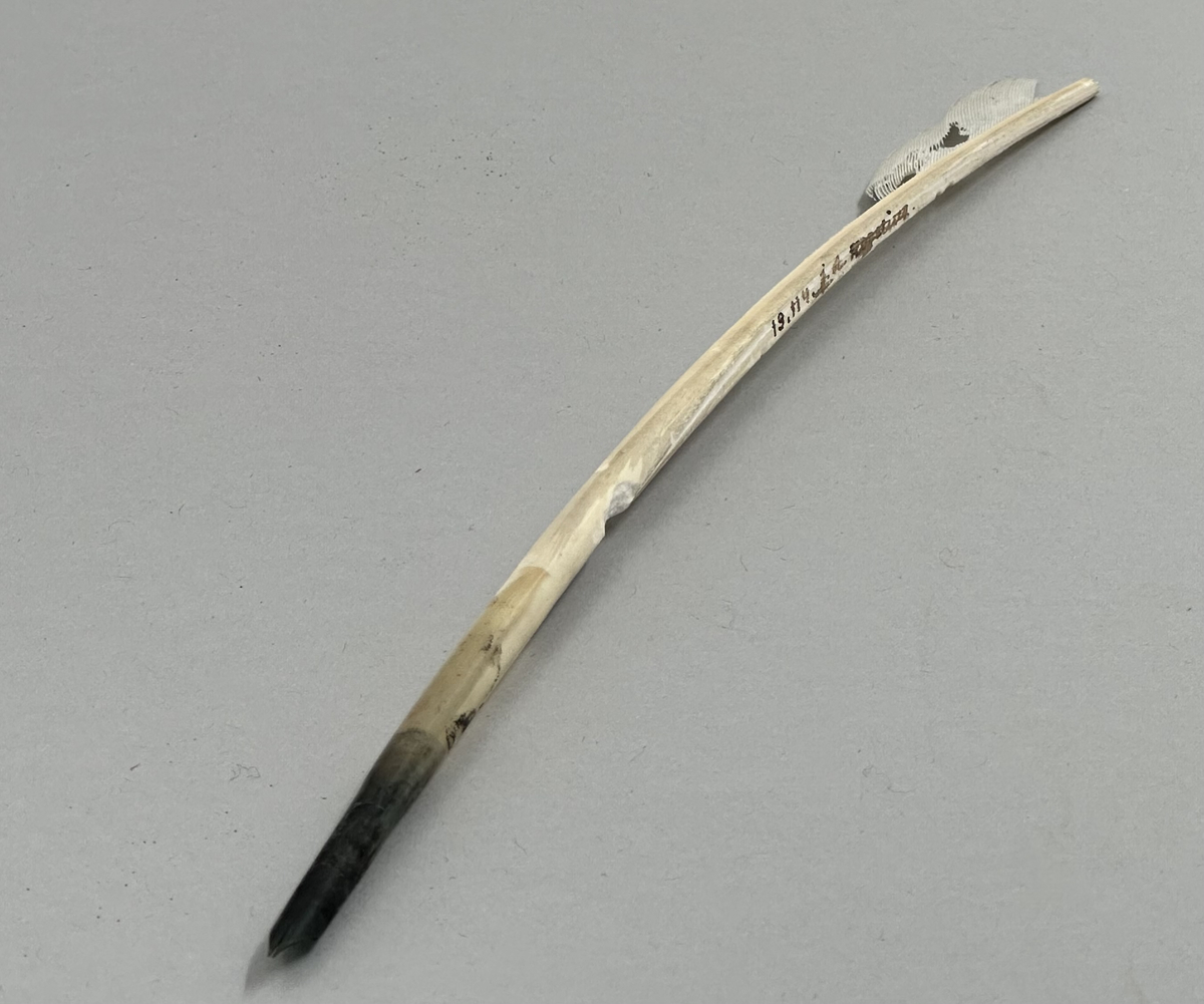 Fjäderpenna. Gåspenna. Med rester av mörkt bläck.