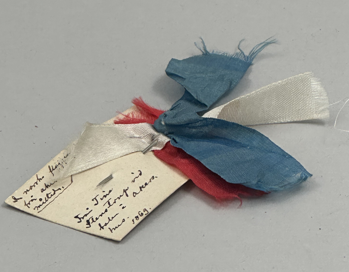 Tre bandbitar i färgerna blå, vit samt röd, med vidfäst papperslapp som har påskriften: "Den norske flaggan/ från Akershus/ måltiden./ Från Tina/ Stenstorp vid/ balen i Akers/hus 1869." Skrivet med Artur Hazelius handstil enligt NMs katalogkort. 