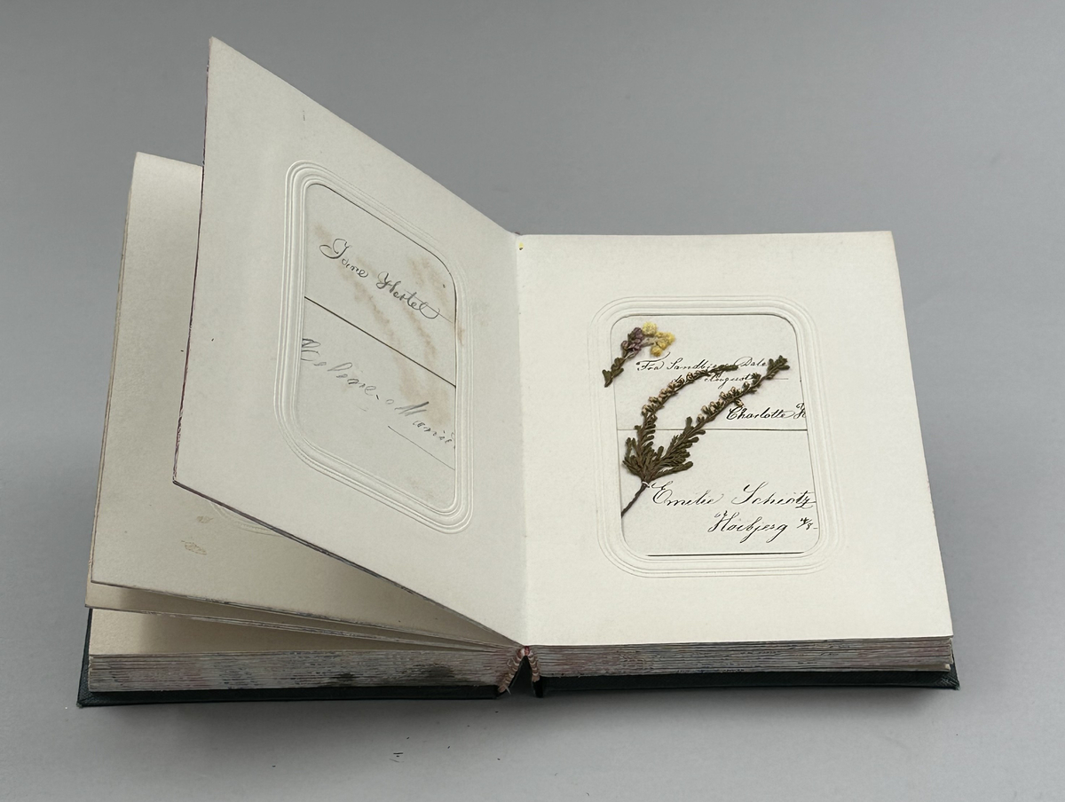 Album med gröna klotpärmar som innehåller en samling visitkort med danska kvinnonamn, en del med pressade växter på. En del är daterade till september och augusti 1862. Har tillhört Artur Hazelius.