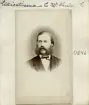 Vinjetterat porträtt av Carl Wilhelm Lilliestierna som bär 1860-talets prägel. Bördig från Värmland kom han till Östergötland senast 1857. Efter en rad bosättningar gifte han sig med Henrietta Eleonora Klingspor 1863 och paret levde sin första tid tillsammans i Björsäter. Från 1866 var makarna emellertid bosatta i Linköping, där Lilliestierna vidare kom att tjänstgöra som kassör vid Östgöta Enskilda Bank.
