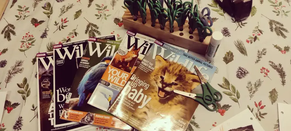 Foto av diverse naturmagasiner og små sakser på et bord klar til å brukes til collage.