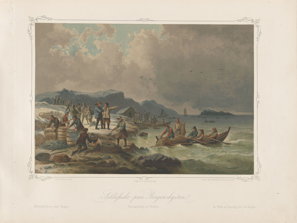 Sildefiske på Bergenskysten [Plansjeverk]