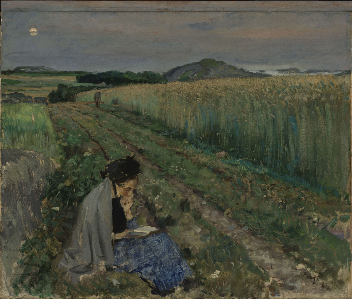 Sommerkveld, Sandø [Maleri]