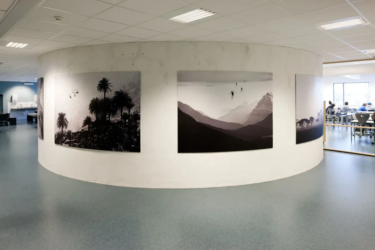 Synkronsvømmere plassert i forskjellige landskap: fjell, stepper, tropiske skoger og storby.