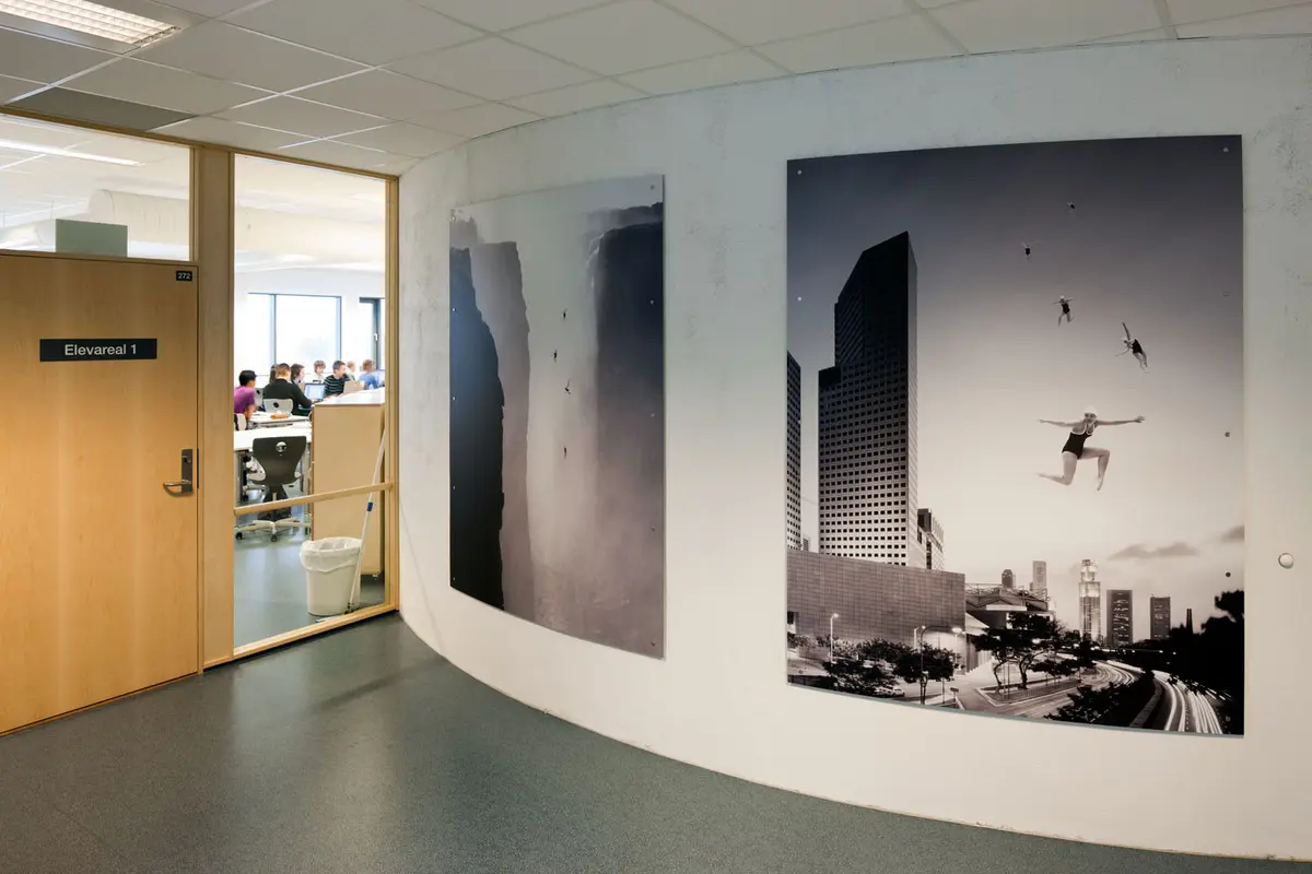 Synkronsvømmere plassert i forskjellige landskap: fjell, stepper, tropiske skoger og storby.