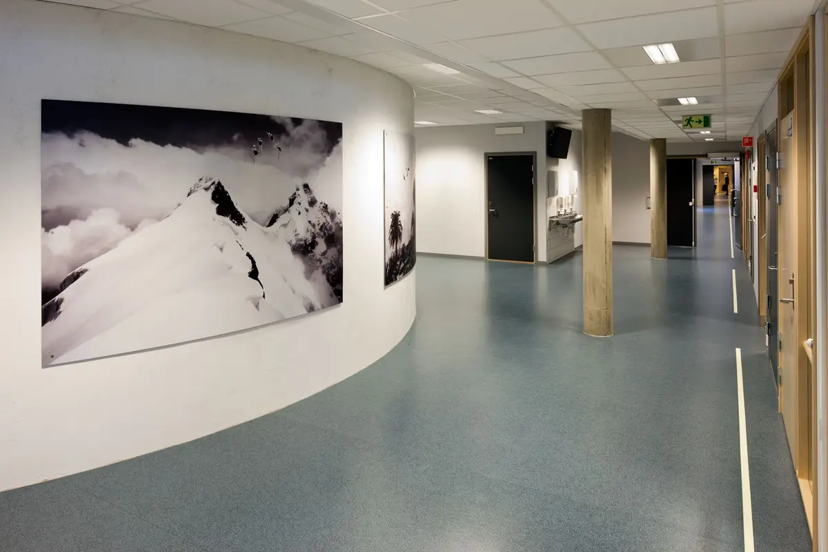 Synkronsvømmere plassert i forskjellige landskap: fjell, stepper, tropiske skoger og storby.