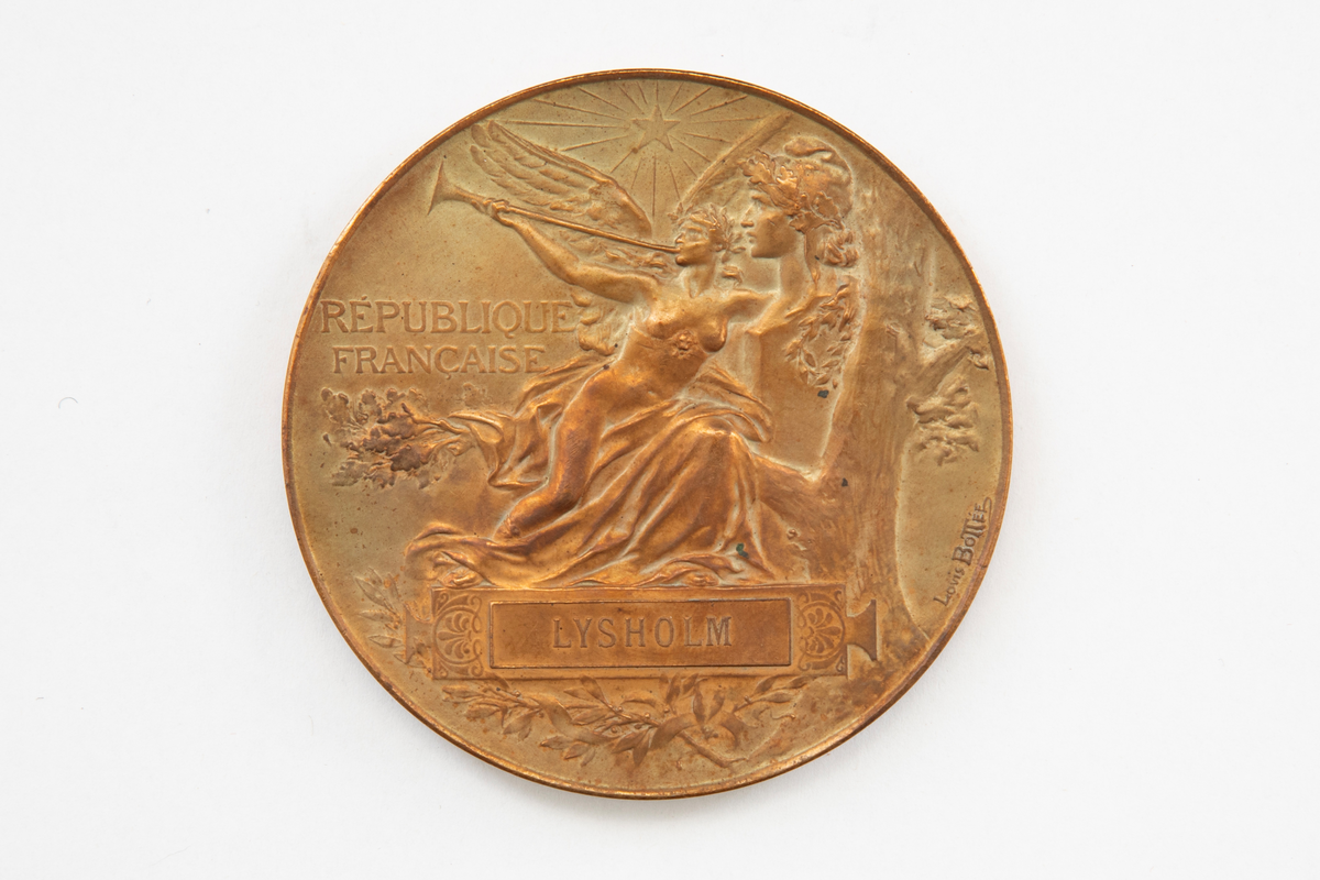 På avers side vises en basunblåsende kvinneskikkelse med vinger. Skikkelsen lener seg mot den franske republikks byste. På revers vises en kvinneskikkelse som sitter på en ambolt. Under dem vises utstillingsområdet i fugleperspektiv, inklusiv Eiffeltårnet. Innskrifter.