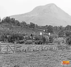 Djupdalsvallen i Härjedalen