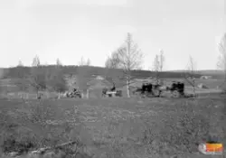 4 st hästskjutsar i en björkallé.