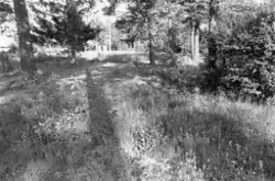 Villniss ved Minneparken på Dombås